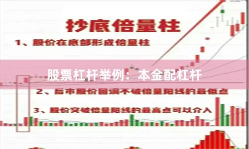 股票杠杆举例：本金配杠杆