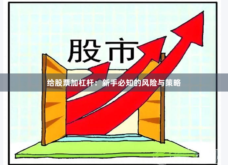 给股票加杠杆：新手必知的风险与策略